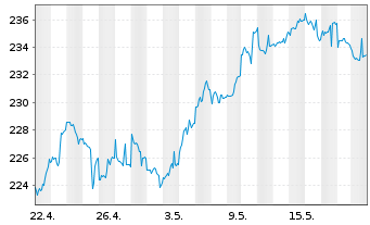 Chart Pioneer Investm. German Equity - 1 Monat