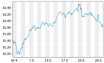 Chart Amu.S&P 500 CL.N.Z.AMB.P USD - 1 Monat