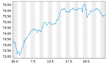 Chart Xtr.(IE) - S&P 500 - 1 Month