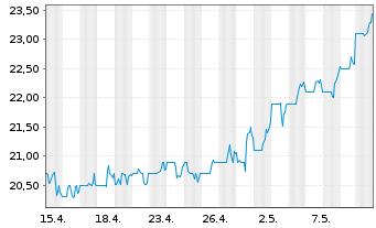 Chart Douglas Dynamics Inc. - 1 Monat