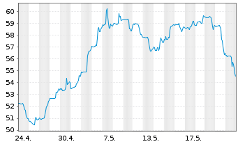 Chart Global X MSCI Argentina ETF 20 - 1 Monat