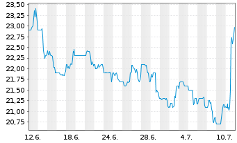 Chart Intrepid Potash Inc. - 1 mois