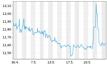 Chart New Mountain Finance Corp. - 1 Monat