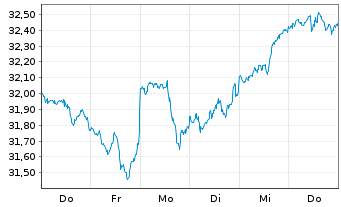 Chart Amu.S&P 500 CL.N.Z.AMB.P USD - 1 semaine