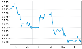 Chart Yeti Holdings Inc. - 1 Week
