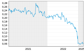 Chart Salazar Resources Ltd. - 5 années