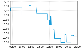 Chart Webull Corp. - Intraday