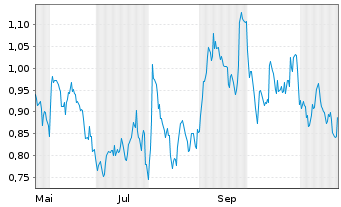 Chart Mini Future Short Shell - 1 an