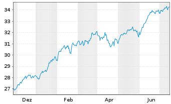 Chart Amu.S&P 500 CL.N.Z.AMB.P USD - 1 Year