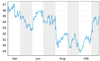 Chart APi Group Corp. - 1 Jahr