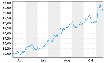 Chart ACI Worldwide Inc. - 1 Jahr