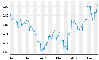 Chart Mini Future Short BYD - 1 Monat