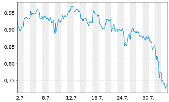 Chart Mini Future Long Volkswagen - 1 mois