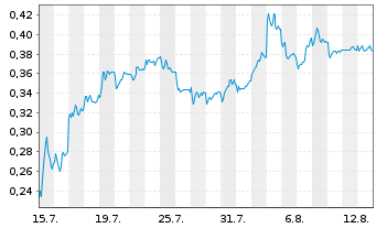 Chart Mini Future Short NEL - 1 Monat