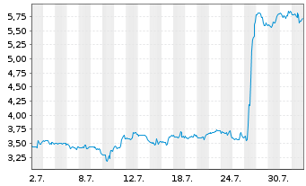 Chart Mini Future Long 3M - 1 Monat