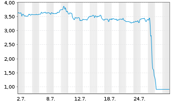 Chart Mini Future Short 3M - 1 Month