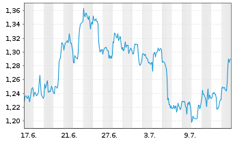 Chart Mini Future Long Chevron - 1 mois