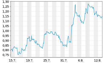 Chart Mini Future Short Pan American Silver - 1 Monat