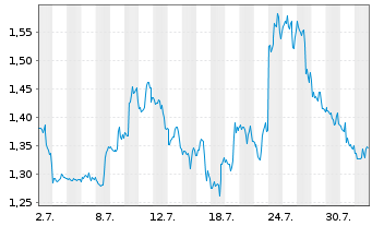 Chart Mini Future Short Visa - 1 Monat