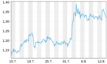 Chart Mini Future Short PVA TePla - 1 Monat