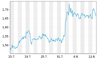 Chart Mini Future Short PVA TePla - 1 Monat