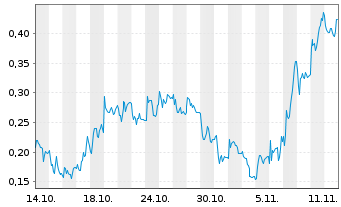 Chart Mini Future Long RENK - 1 Monat