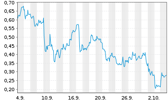 Chart Mini Future Long RENK - 1 Monat