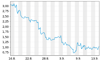 Chart Mini Future Long Canopy - 1 mois