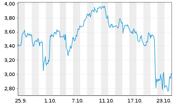 Chart Mini Future Short Canopy - 1 Monat