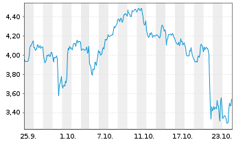 Chart Mini Future Short Canopy - 1 mois