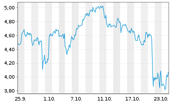 Chart Mini Future Short Canopy - 1 Monat