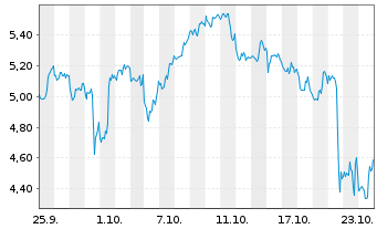 Chart Mini Future Short Canopy - 1 Monat