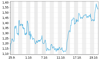 Chart Mini Future Long Puma - 1 mois