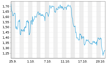 Chart Mini Future Short Puma - 1 mois