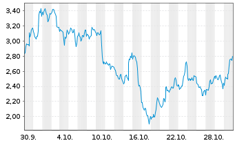 Chart Mini Future Short Micron - 1 Monat