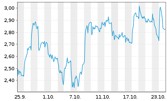 Chart Mini Future Long Continental - 1 Monat