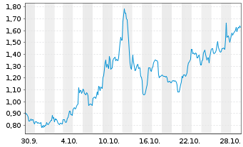 Chart Mini Future Long Standard Lithium - 1 Month