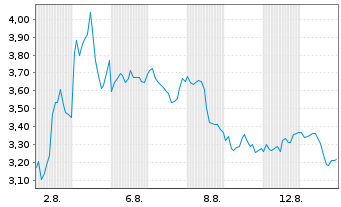 Chart Mini Future Short Block - 1 mois