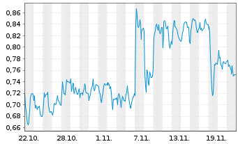 Chart Mini Future Long Duerr - 1 Monat