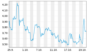 Chart Mini Future Long Volkswagen - 1 mois