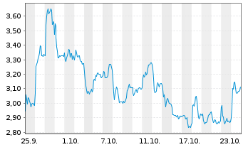 Chart Mini Future Long Porsche - 1 Monat