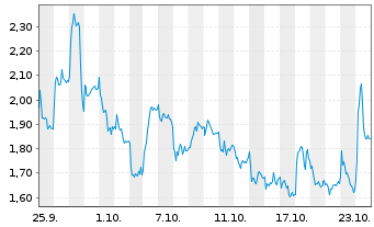 Chart Mini Future Long Volkswagen - 1 mois