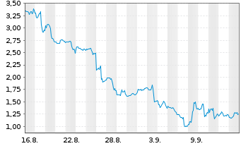 Chart Mini Future Long Canopy - 1 mois