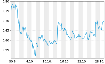 Chart Mini Future Short Shell - 1 Monat