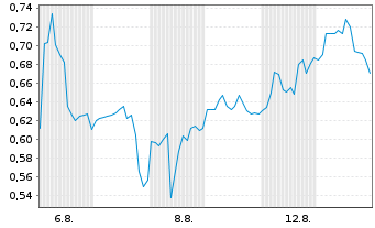 Chart Mini Future Long HealWELL - 1 Monat