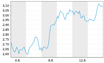 Chart Mini Future Long Block - 1 mois