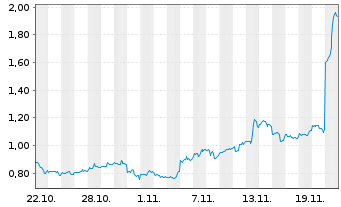 Chart Mini Future Long Snowflake - 1 mois