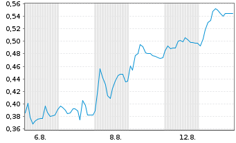 Chart Mini Future Long BayWa - 1 Month