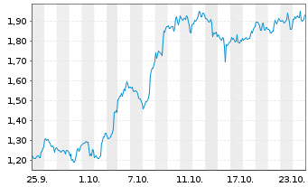 Chart Mini Future Long Palantir - 1 Monat