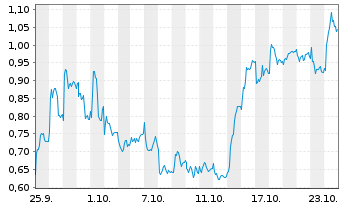 Chart Mini Future Long Puma - 1 mois